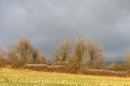 L'Embry